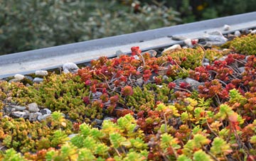 the cost of Withergate green roof installation