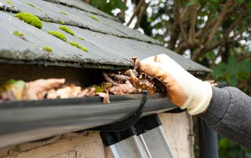 gutter cleaning Withergate, Norfolk