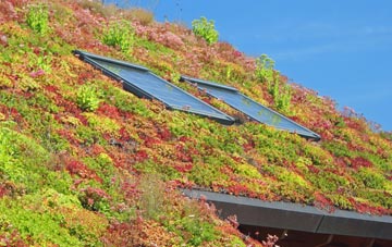 Withergate living roof systems
