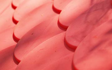 Withergate plastic roof costs