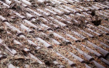 Withergate roof cleaning companies