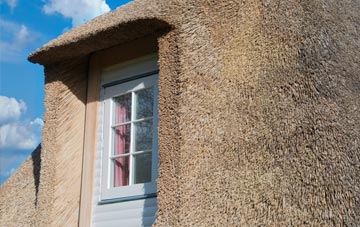 Withergate thatch roof disadvantages